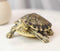 Lifelike Yellow Bellied Slider Turtle Tortoise Figurine 4.75"L Zen Feng Shui