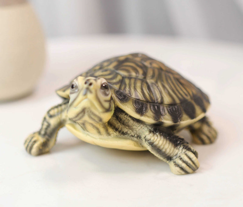 Lifelike Yellow Bellied Slider Turtle Tortoise Figurine 4.75"L Zen Feng Shui