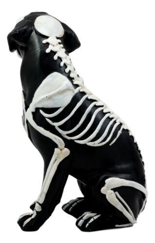 Day Of The Dead Bone Skeleton Dog Statue 7.5"H X-Ray Canine Skeleton Anatomy