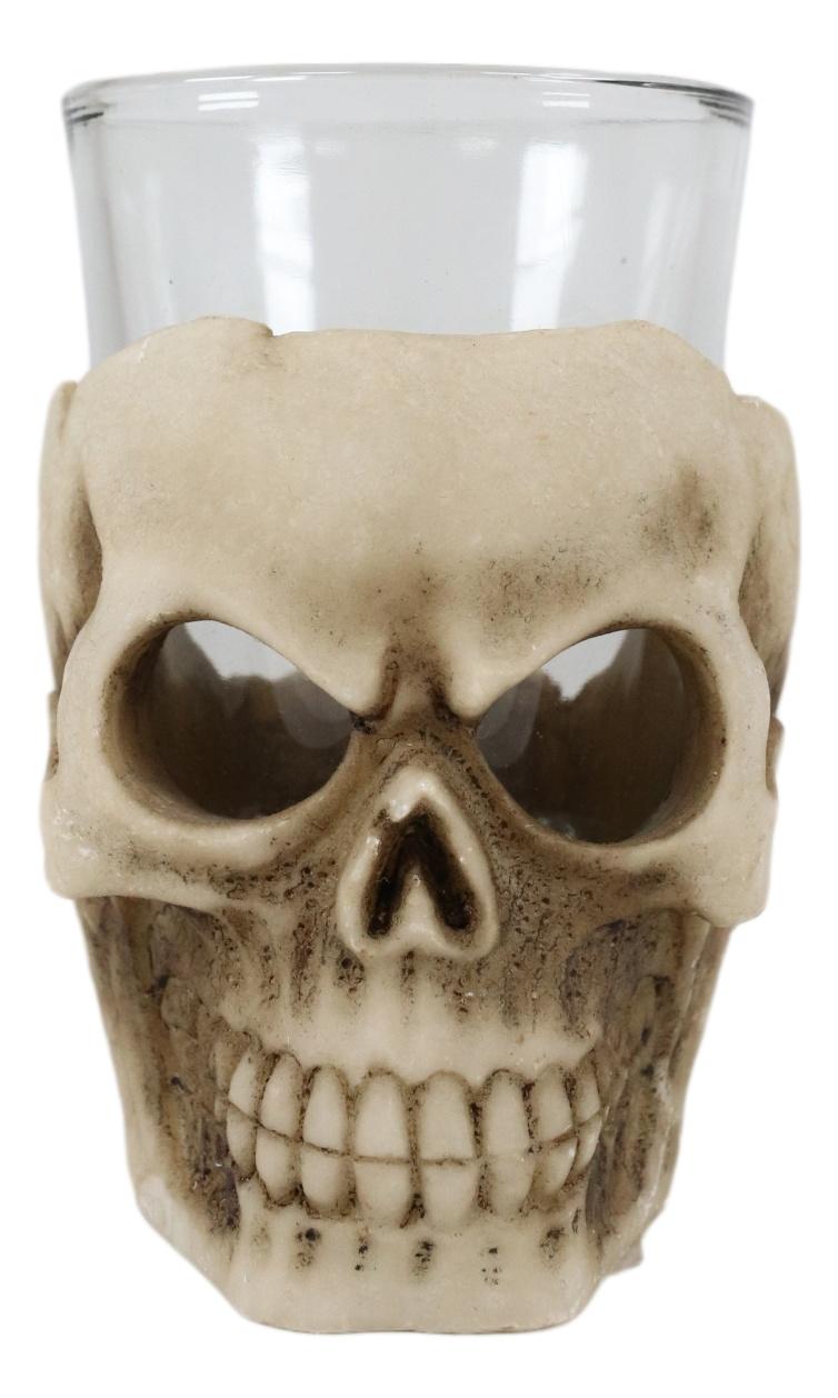 Ebros Grinning Skull Shot Glass Set of 12 Altar of Skulls Skeleton Ossuary Skull