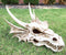 Large Elder Dragon Skull Statue Legendary Erathia Fossil Skeleton 18"L Figurine