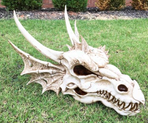 Large Elder Dragon Skull Statue Legendary Erathia Fossil Skeleton 18"L Figurine