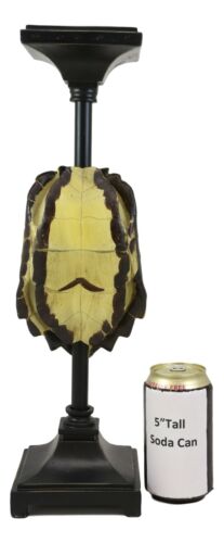 Large Nautical Reptile Exotic Turtle Shell Pillar Candle Holder Statue 17"High