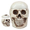Ebros Large Ceramic Homosapien Jointed Human Skull Cookie Jar Figurine 9.25" L