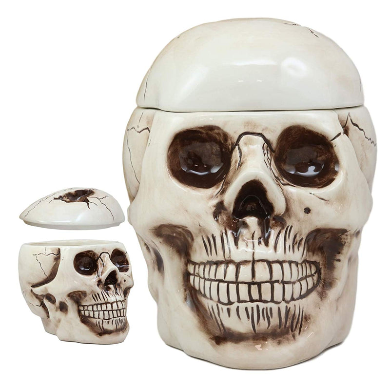 Ebros Large Ceramic Homosapien Jointed Human Skull Cookie Jar Figurine 9.25" L