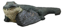 Ebros Gift Large Realistic Crocodile Holding Welcome Sign Rock Garden Greeter Accent Statue Lake Home Patio Pool Exotic Decor of Alligators Crocodiles Caiman Gator Decorative Sculpture (29" Long)