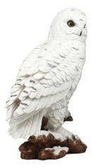 Mystical White Snow Owl Bird Statue 12.25"Tall Nocturnal Bird Wildlife Owl Decor