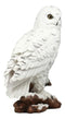 Mystical White Snow Owl Bird Statue 12.25"Tall Nocturnal Bird Wildlife Owl Decor