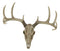 Ebros 18."L 10 Point Buck Head Wall Mount Resin Stag Deer Skull Antler Sculpture - Ebros Gift