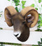 Rocky Mountains Bighorn Ram Trophy Taxidermy Wall Decor Sculpture Hanging Plaque