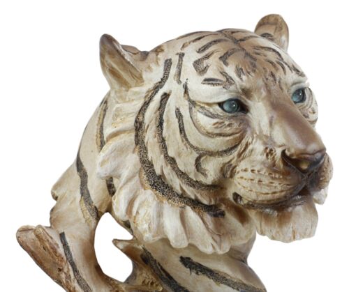 Ebros Faux Wood Large Tundra Forest Wildlife Siberian White Tiger Bust 11" Tall - Ebros Gift