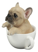 Ebros Realistic French Bulldog Teacup Statue Pet Pal Frenchie Dog Breed Figurine Decor