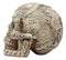 Ebros DOD Mesoamerican Maya Aztec Gods Skull Statue Tribal Tattoo Figurine