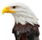 Ebros Patriotic American Bald Eagle Glass Salt & Pepper Shakers Holder Figurine Set
