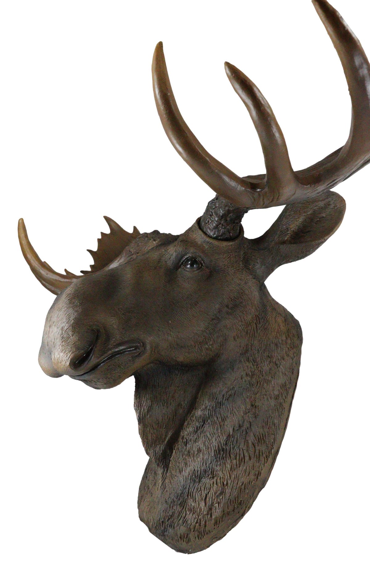 Western Rustic Wildlife Baron Bull Moose Elk Deer Taxidermy Wall Decor Plaque