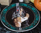 Set Of 4 Fantasy Warrior Maidens With Magic Rune Dragons Dessert Salad Plates