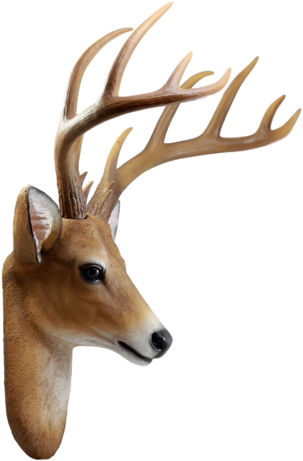 12 Point Buck Trophy Taxidermy Wall Decor Deer Head W/ Antlers Sculpture Plaque