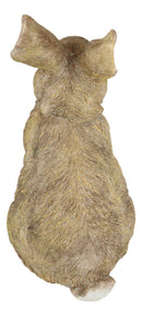 Whimsical Curious Mother Bunny Rabbit Standing Pet Pal Fairy Garden Figurine