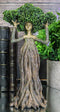 Greenman Tree Woman Gaia Dryad Ent Native Fixing Leafy Canopy Crown Figurine