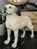 Adorable Labrador Golden Retriever Dog Standing On All Fours Pet Pal Figurine