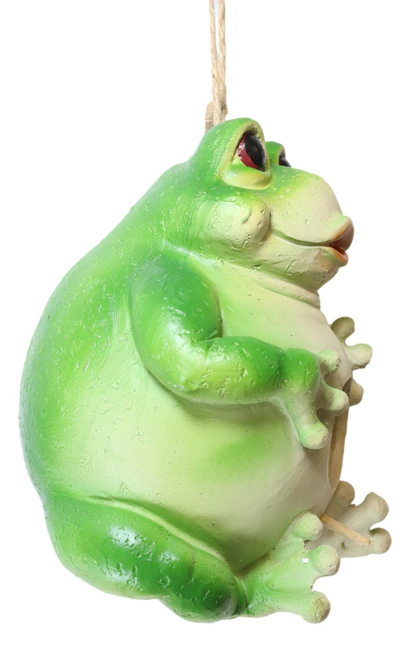 Whimsical Jumbo Fat Frog Toad Birdhouse Bird Feeder House Branch Hanger Figurine
