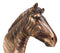 Ebros Madagascar Safari Zebra Horse Bust Statue In Bronze Electroplated Finish