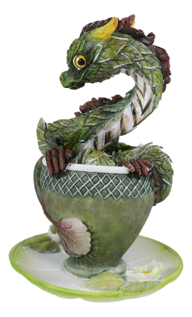 Fantasy English Green Tea Leaves And Flowers Dragon In Teacup & Saucer Figurine