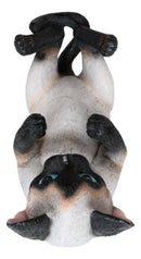 Her Majesty Regal Drinking Siamese Cat Wine Bottle Holder Rack Or Stand Figurine