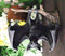 Gothic Winged Vampire Bat By Spider Web Hanging From Branch Wall Hanging Decor