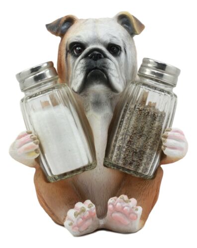 Ebros Big Bully English Bulldog Decorative Salt And Pepper Shakers Holder Set