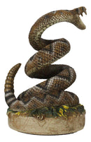 Realistic Ferocious Attacking Diamondback Rattlesnake in Coiled Posture Figurine