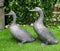 Ebros Gift Large Verdi Green Aluminum Two Lover Pond Ducks Garden Statue Set