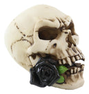 Ebros Black Tango Vampire Skull Biting Pale Rose Stalk Figurine 5"L Ossuary