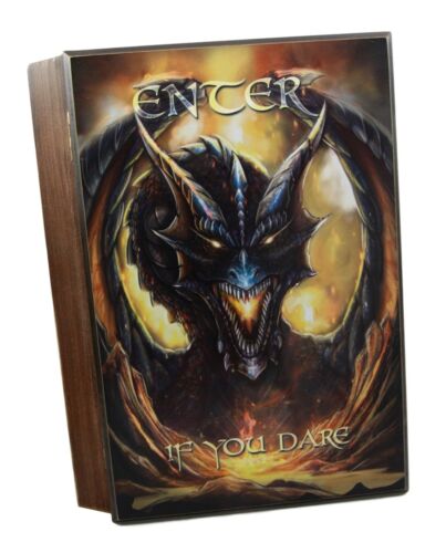 Fantasy Enter The Dragon Lair Book Shaped Multiple Keys Secret Storage Organizer