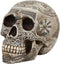 Ebros Norse Viking Skull Figurine 7 Inch Length Skeleton Head Decor