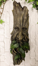 Ebros Celtic Greenman Enigma Face Wall Hanging Sculpture Decor 15" High