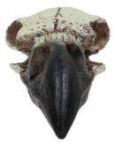 Gothic Reliquary Raven Crow Skull Small Pendant Sacred Talisman Macabre Figurine