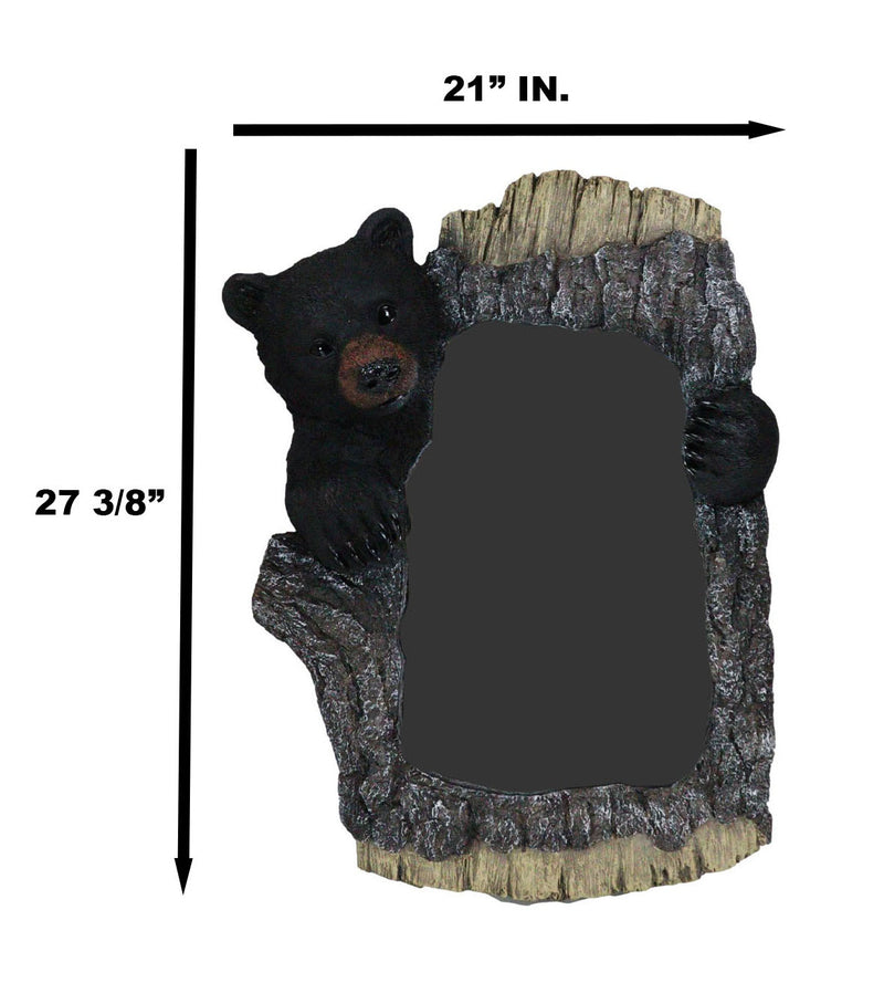 Large 27" H Western Rustic Forest Black Bear Holding A Tree Branch Wall Mirror