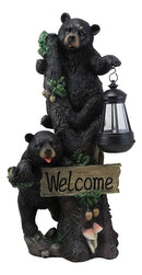 Ebros Climbing Black Bear Cubs Garden Light Welcome Statue Figurine Solar LED Lantern