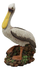 14.25"H Large Ocean Marine Beach Coastal Brown Pelican Standing On Rocks Statue