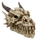 Ebros Smoking Nostrils and Eyes Skeleton Dragon Skull Incense Stick Burner Box