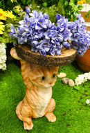 Feline Orange Tabby Cat Kitten Holding Faux Wood Slice Table Stand Figurine