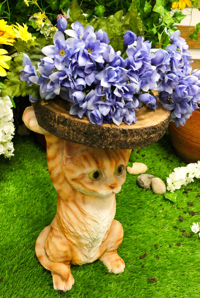 Feline Orange Tabby Cat Kitten Holding Faux Wood Slice Table Stand Figurine