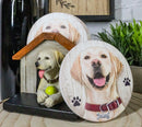 Cute Golden Retriever Puppy Dog In Doghouse Coaster Set Holder And 4 Coasters