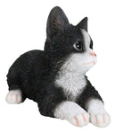 Lifelike Tuxedo Black And White Feline Kitten Cat Sitting On Its Belly Figurine