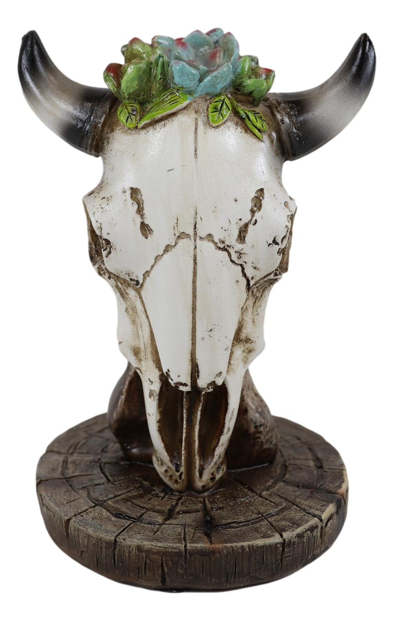 Southwest Aged Bone Bull Cow Steer Head Skull With Floral Succulents Sculpture