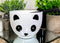 Whimsical Ceramic White Giant Panda Bear Ramen Noodle Bowl With Chopsticks Set