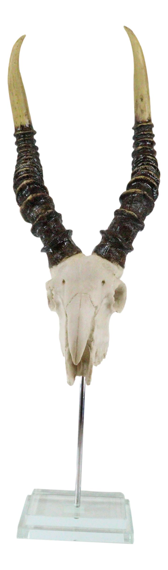 Vintage Faux Taxidermy Kudu Antelope Skull On Museum Pole Mount With Glass Base