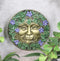 Four Seasons Spring Summer Fall Winter Celtic Greenman Wall Decor Plaques Set