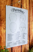 Gothic Wicca Phrenology Alternative Science Of Human Mind Metal Wall Sign Decor